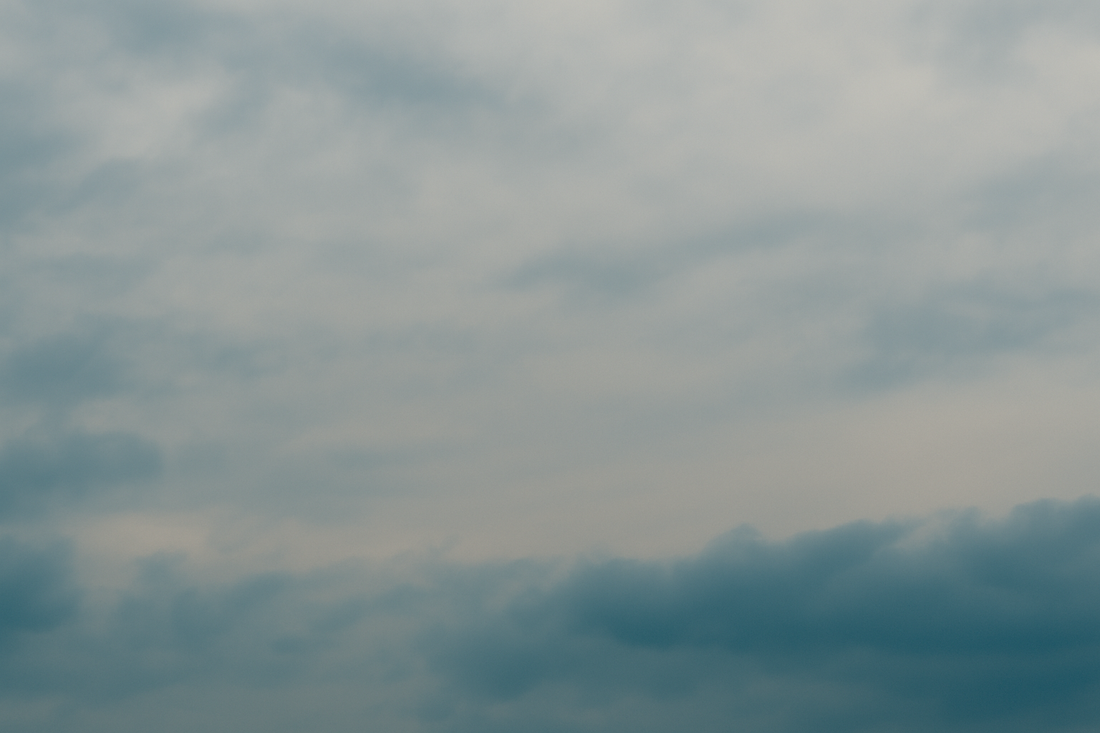 How do you honor a deceased pet?