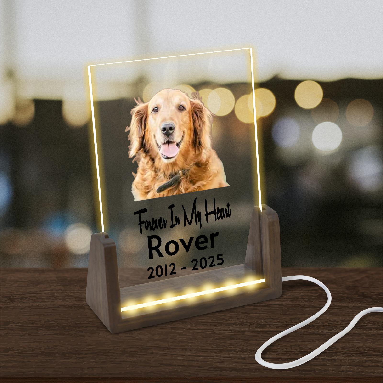 Pet Portrait Acrylic Photo Light • Pet Nightlight • Home Decor • Personalized Gifts • Memorial Light • Unique Gift