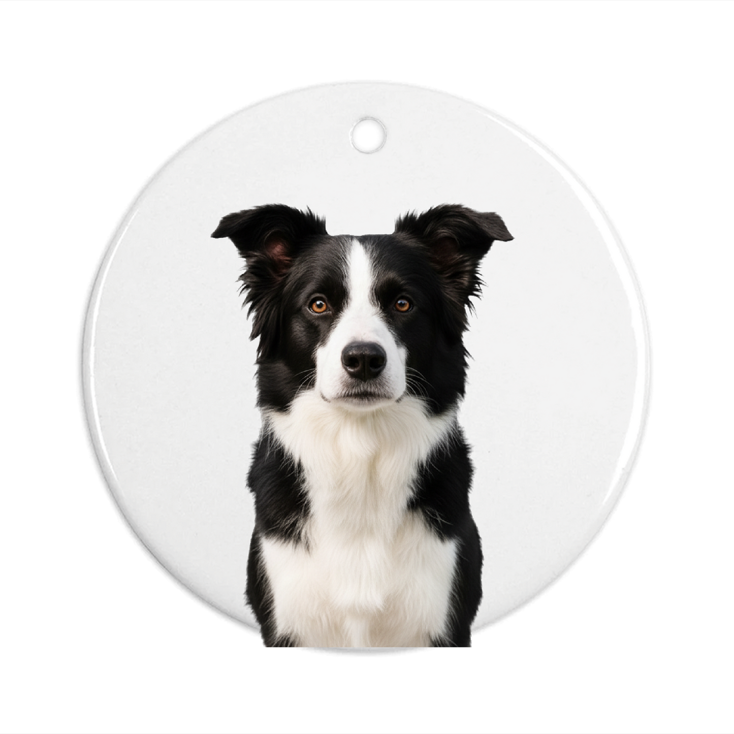 Pet Memorial Photo Ornament – Double‑Sided Personalized Keepsake