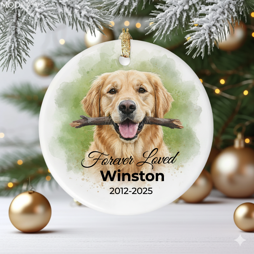 Personalized Pet Memorial Ornament with Custom Portrait